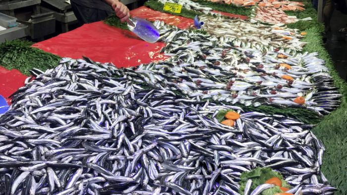 Обект, извършващ нерегламентирана търговия с рибни продукти е установен при